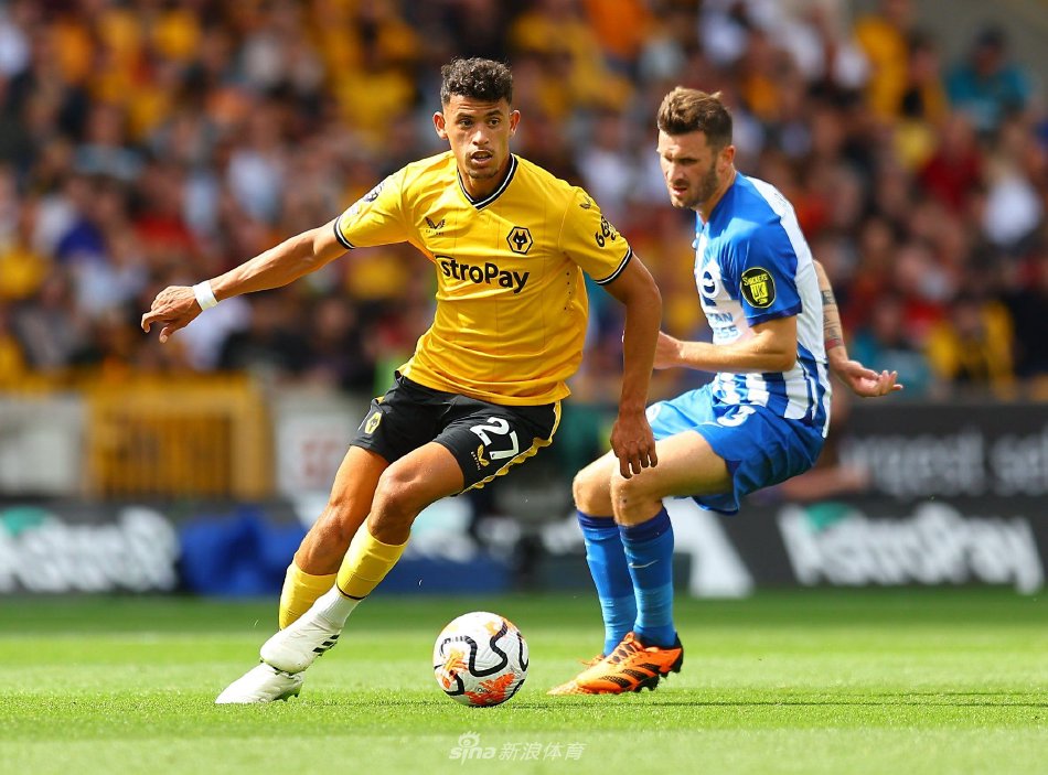 球率和射门 球率和射门